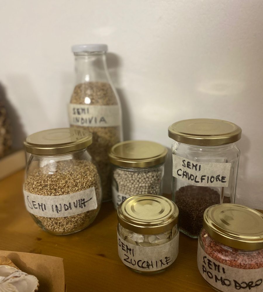 2024-07-11 at 15.17.56-1-rudoteca-infanzia-unicoop-cooperativa-sociale-piacenza